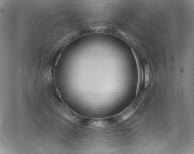 X0000068270611200604211112