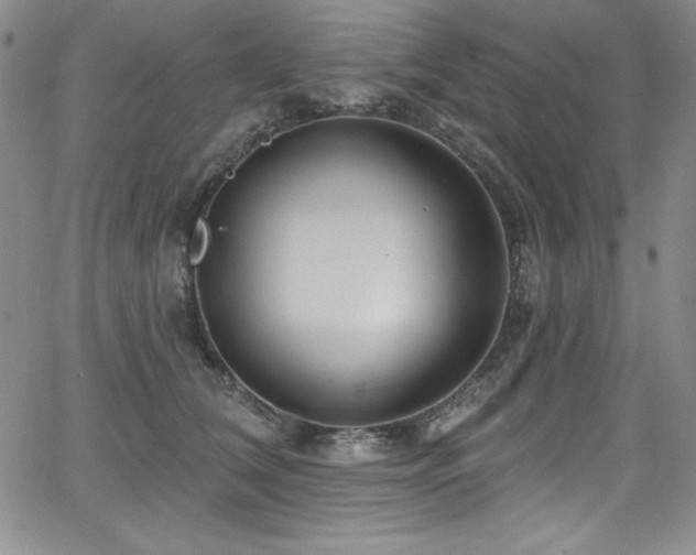 X0000068270612200604211112