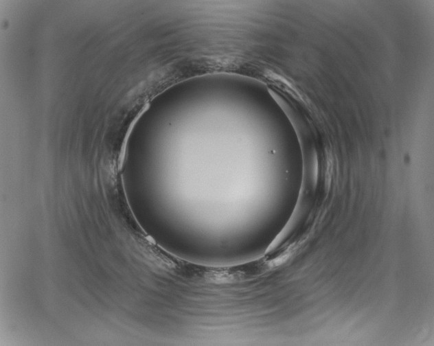 X0000068270613200604211112