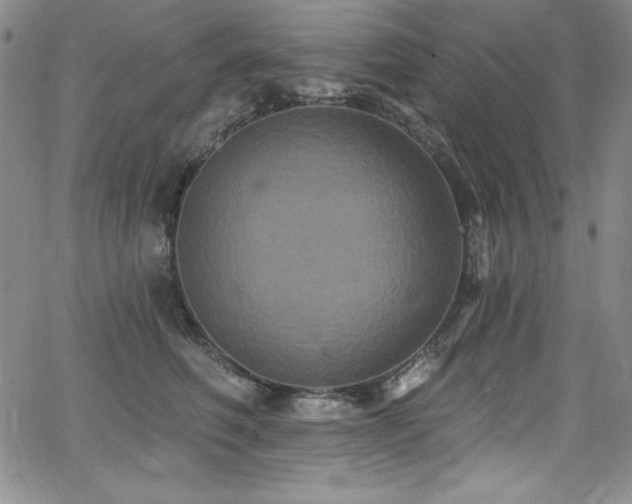 X0000068270614200604211112