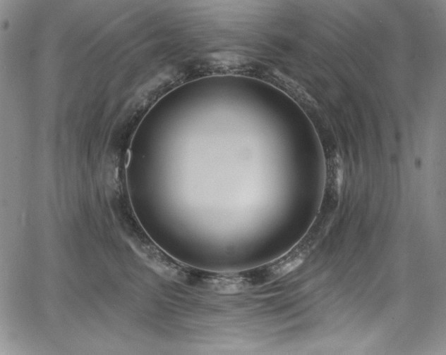 X0000068270615200604211112