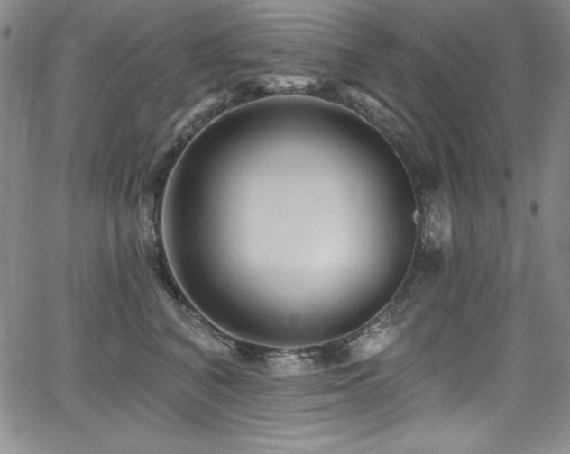 X0000068270616200604211112