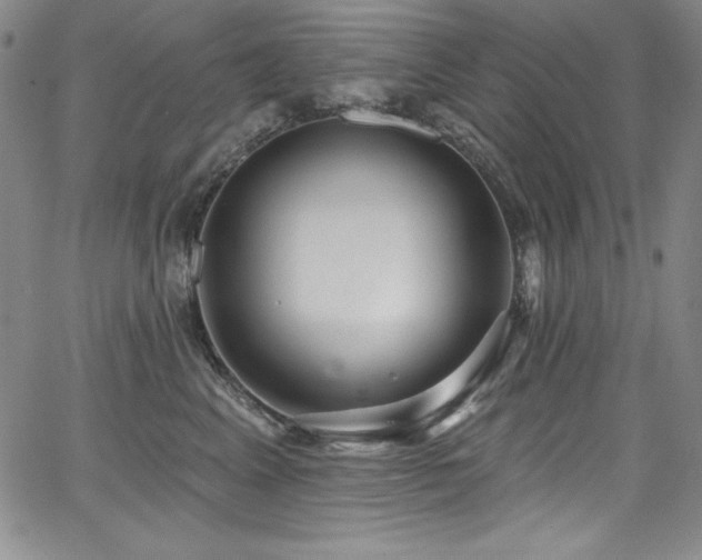 X0000068270617200604211112