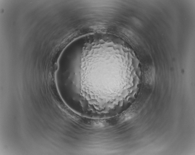 X0000068270618200604211112