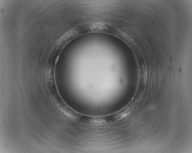 X0000068270619200604211112