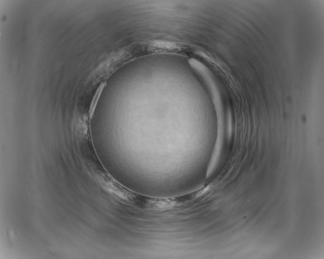 X0000068270621200604211112