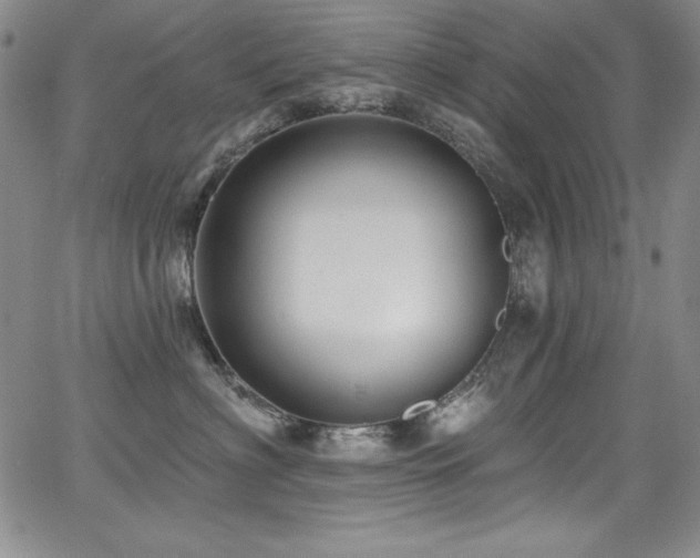 X0000068270622200604211112