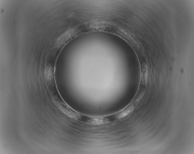 X0000068270623200604211112