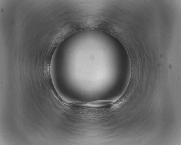 X0000068270624200604211112