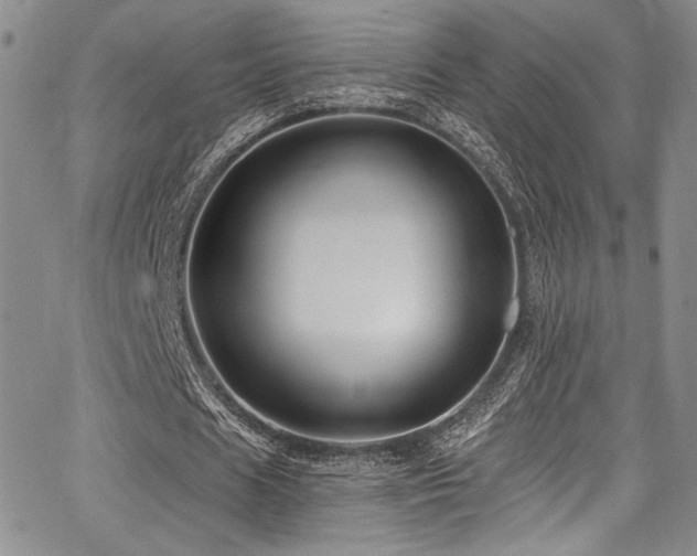 X0000068270625200604211111