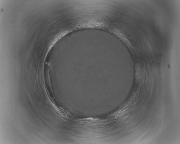 X0000068270626200604211111