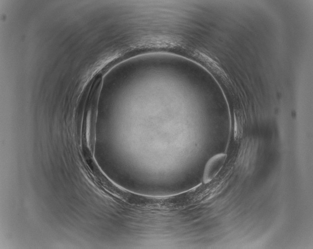 X0000068270627200604211111