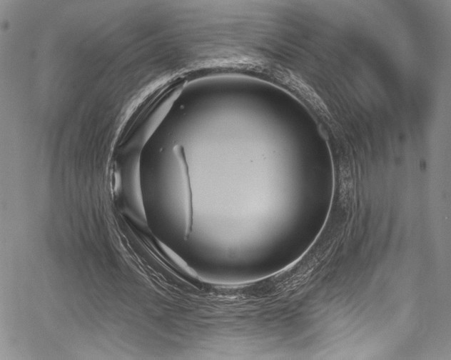 X0000068270628200604211111