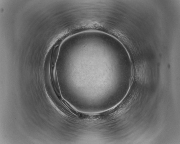 X0000068270630200604211111