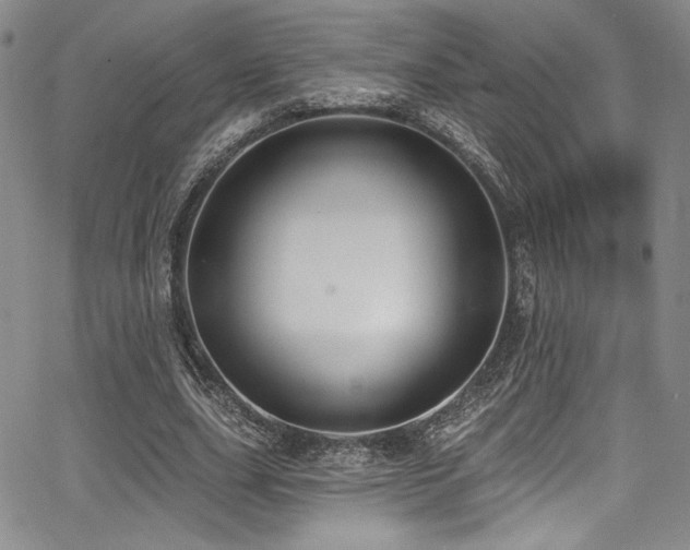 X0000068270631200604211111