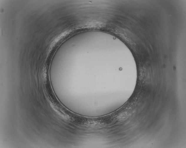 X0000068270632200604211111