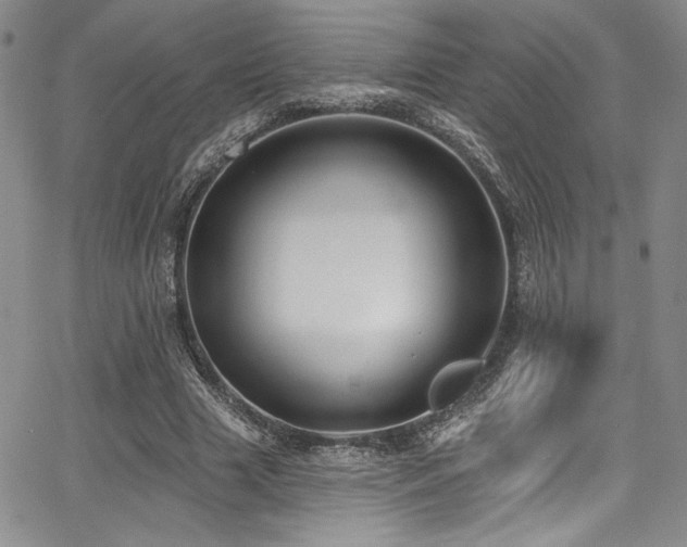 X0000068270633200604211111