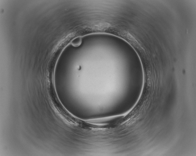 X0000068270634200604211111