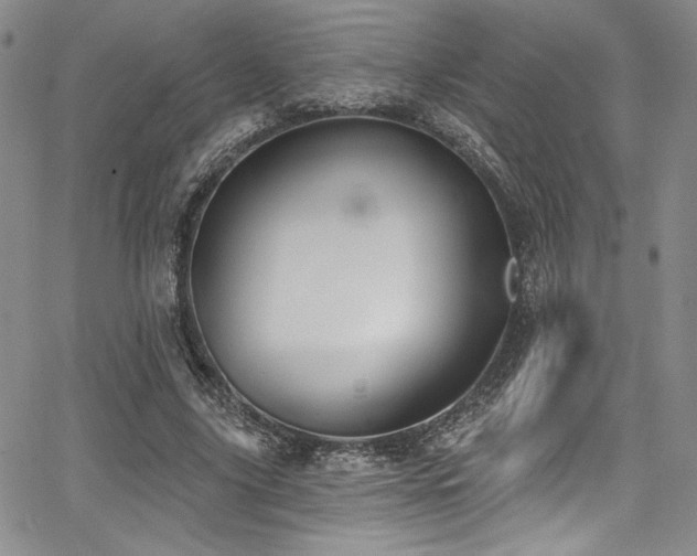 X0000068270635200604211111