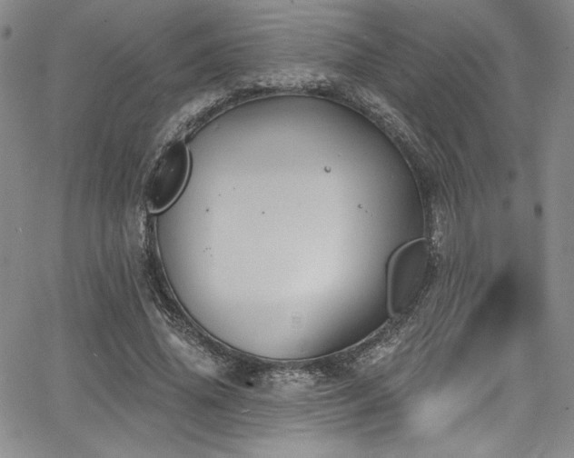 X0000068270636200604211111