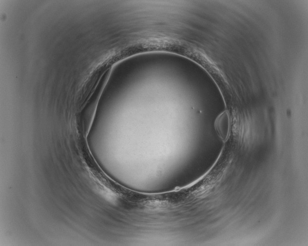 X0000068270637200604211111