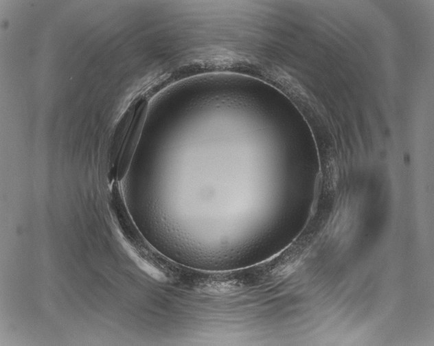 X0000068270638200604211111