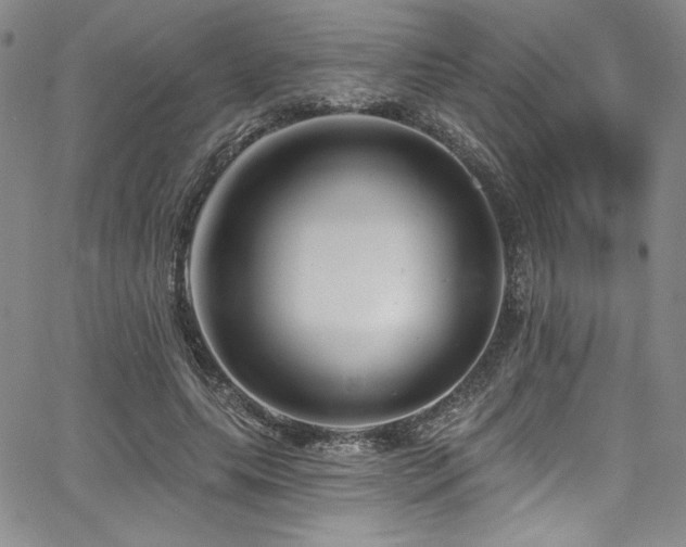 X0000068270639200604211111