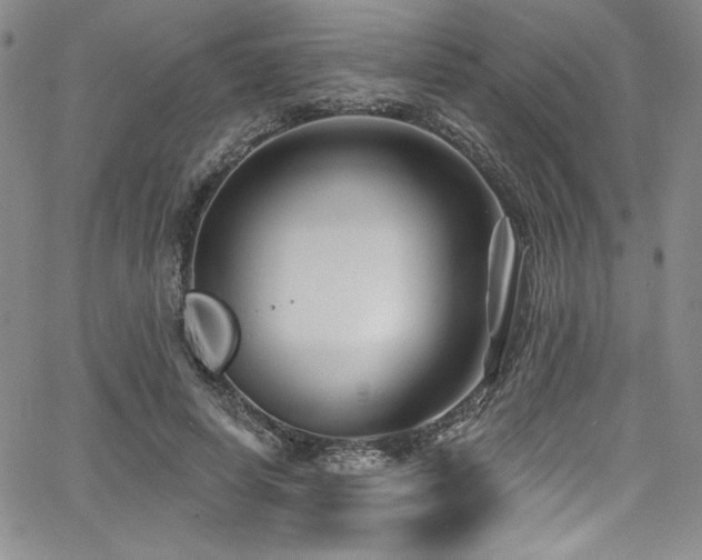 X0000068270642200604211111