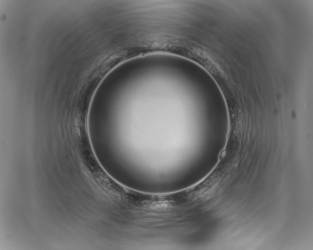 X0000068270643200604211111