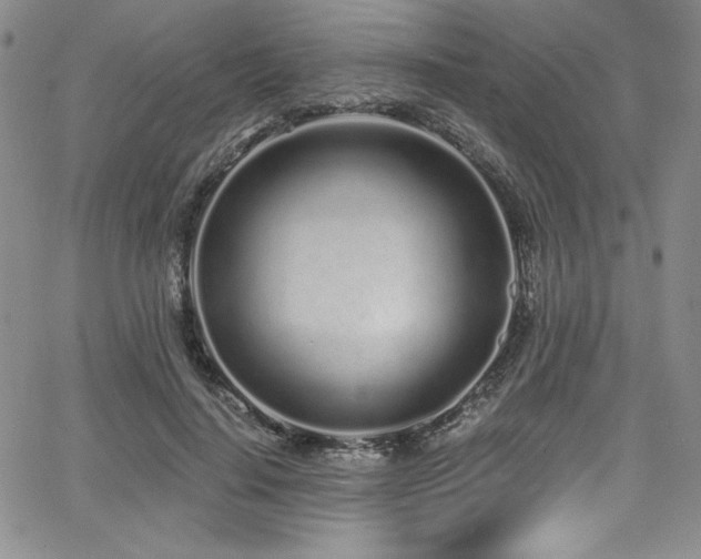 X0000068270644200604211111