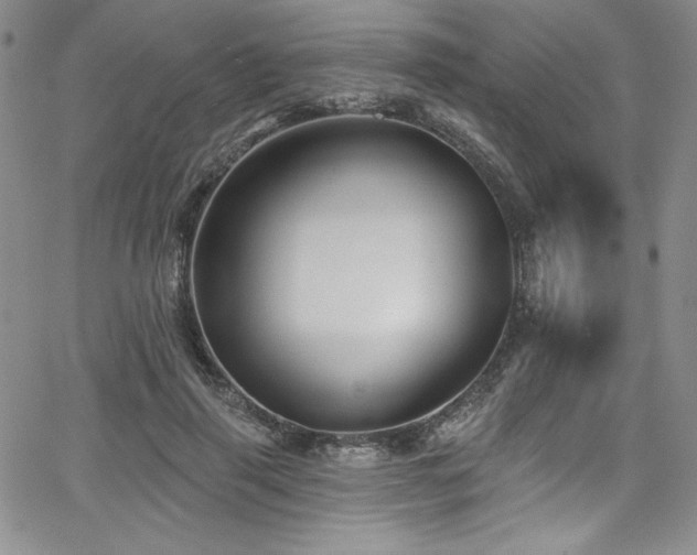 X0000068270645200604211111