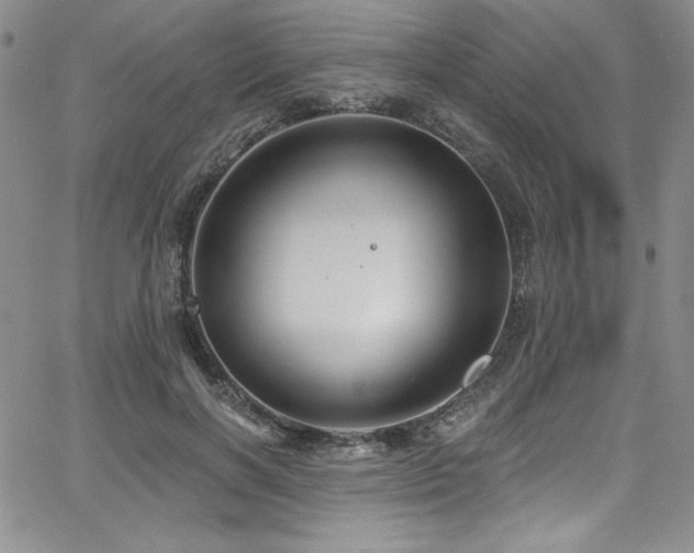 X0000068270646200604211111