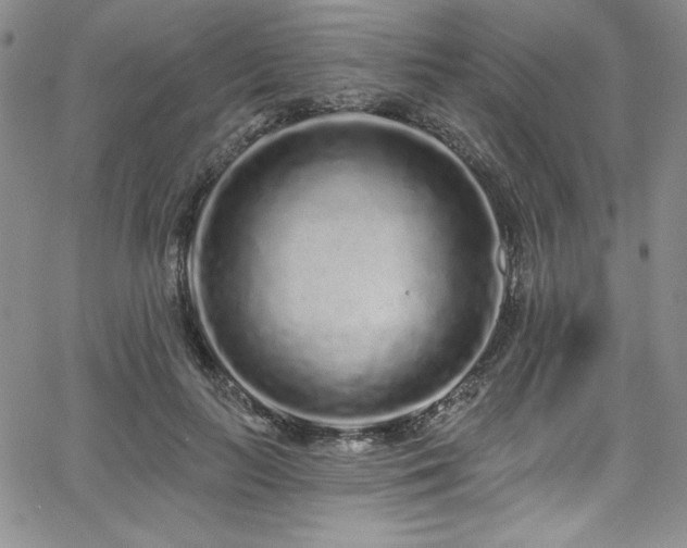 X0000068270647200604211111