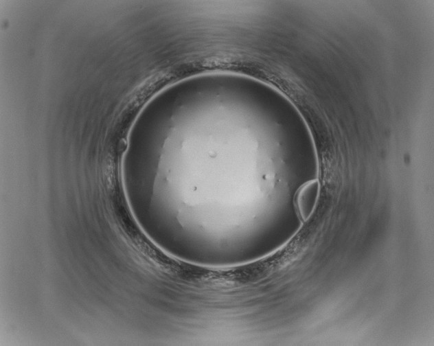 X0000068270648200604211111