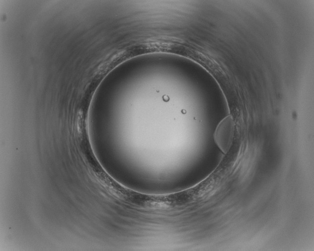 X0000068270649200604211111