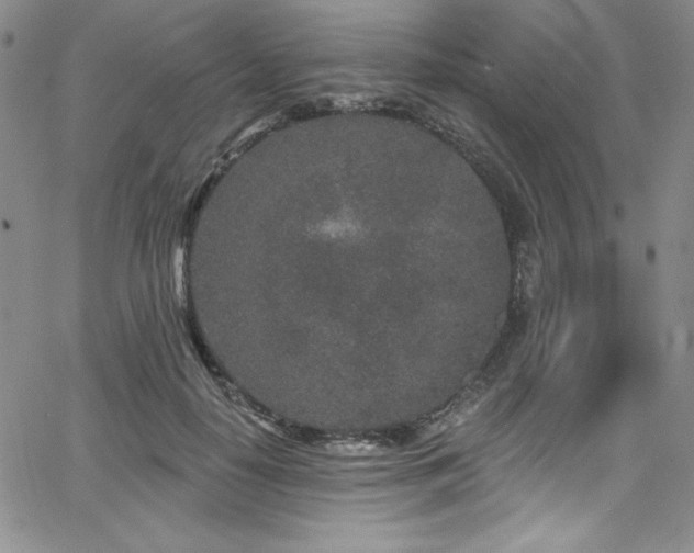 X0000068270650200604211111