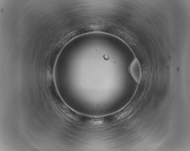 X0000068270651200604211111