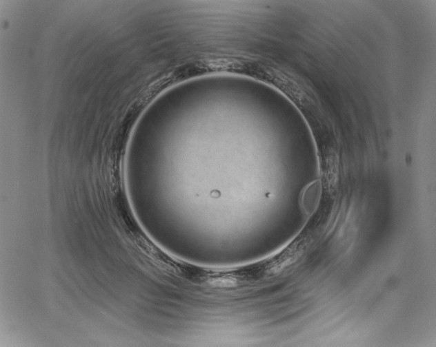 X0000068270653200604211111