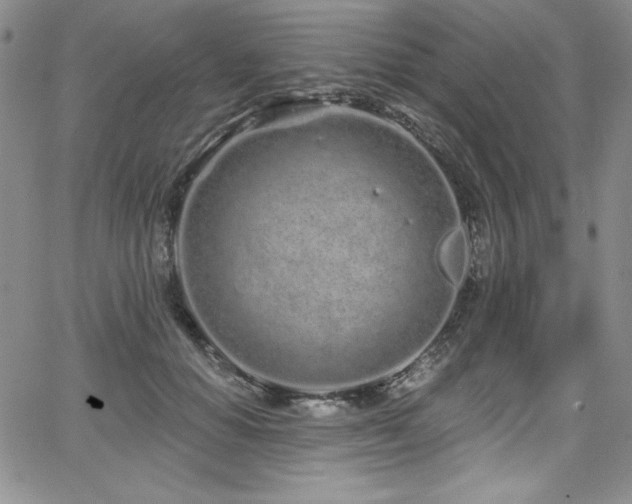 X0000068270654200604211111