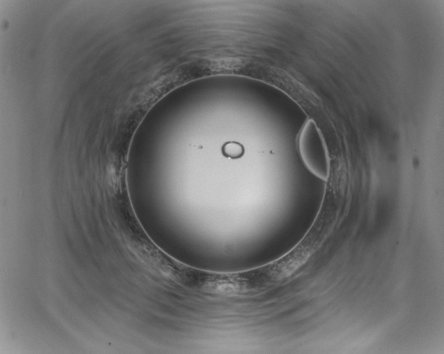 X0000068270655200604211111