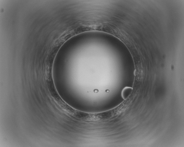 X0000068270656200604211111