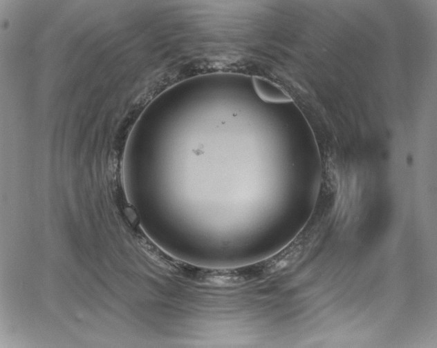 X0000068270657200604211111