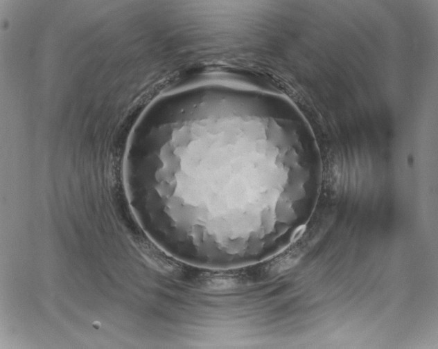 X0000068270658200604211111