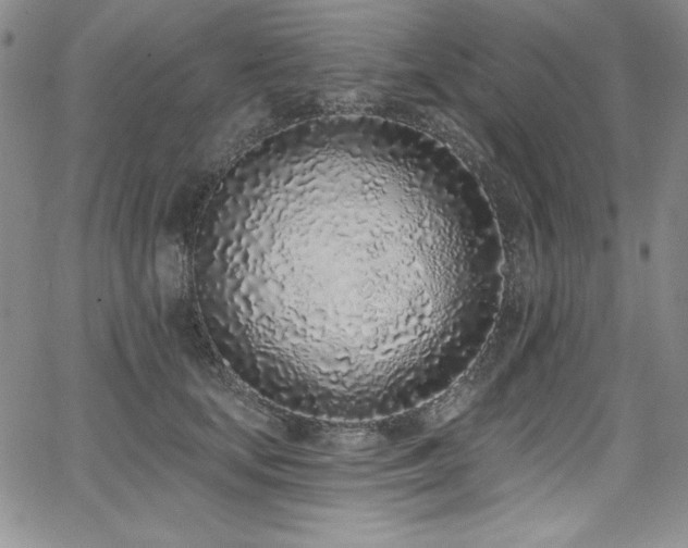 X0000068270659200604211111