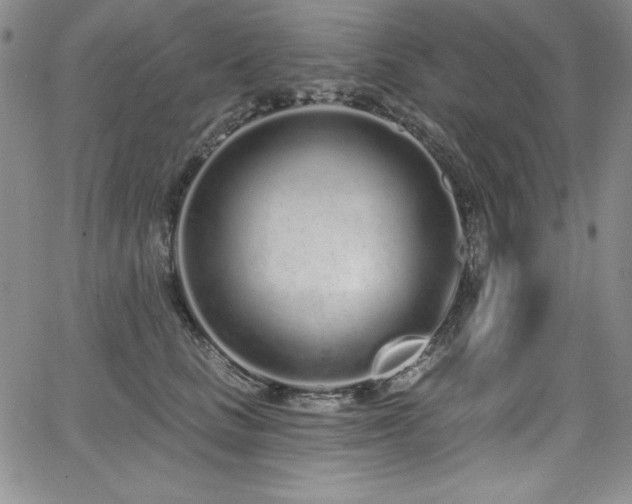 X0000068270661200604211111