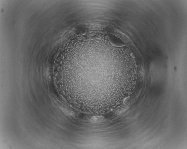 X0000068270663200604211111