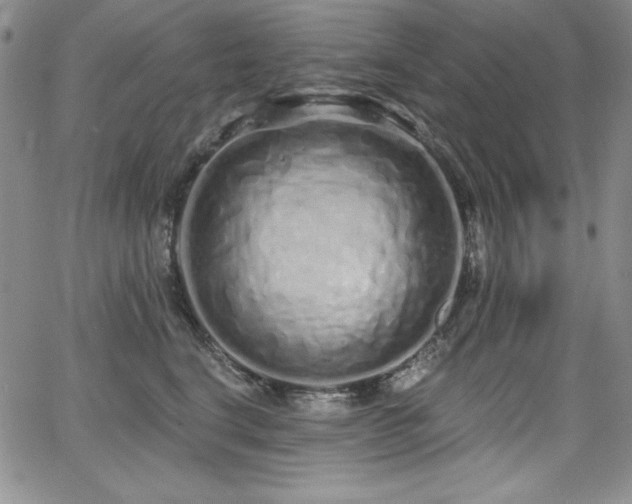 X0000068270664200604211111