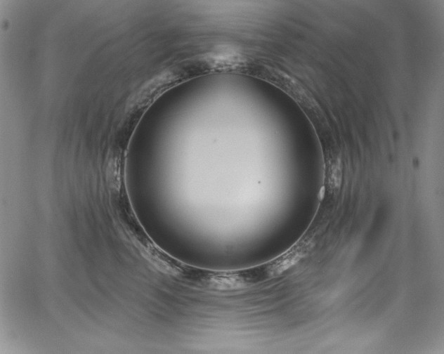 X0000068270666200604211111