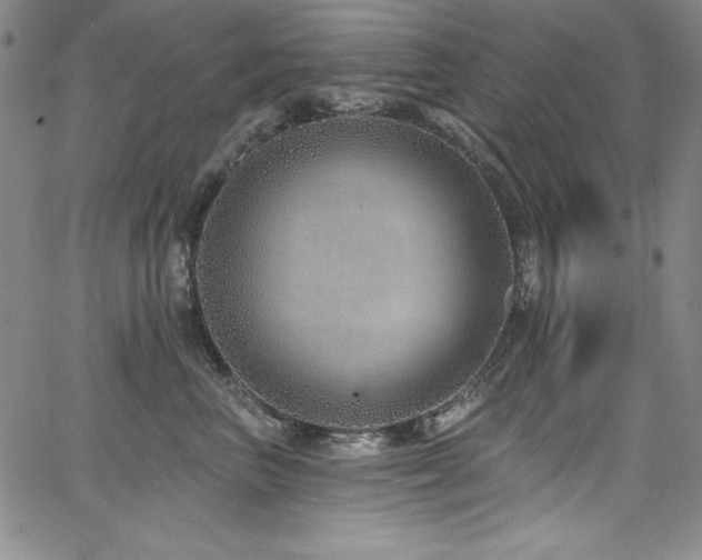 X0000068270667200604211111