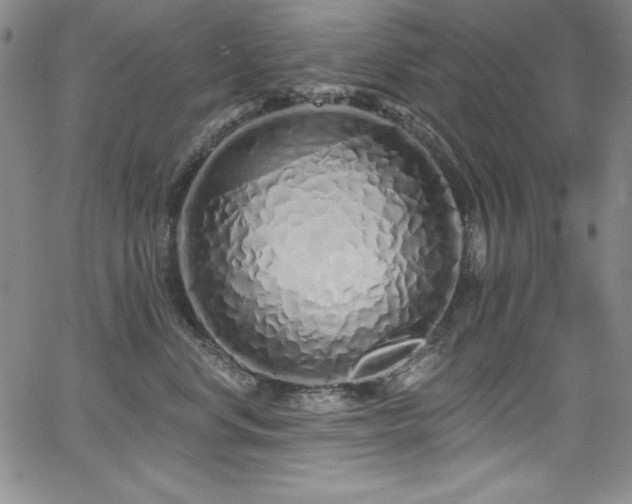 X0000068270668200604211111